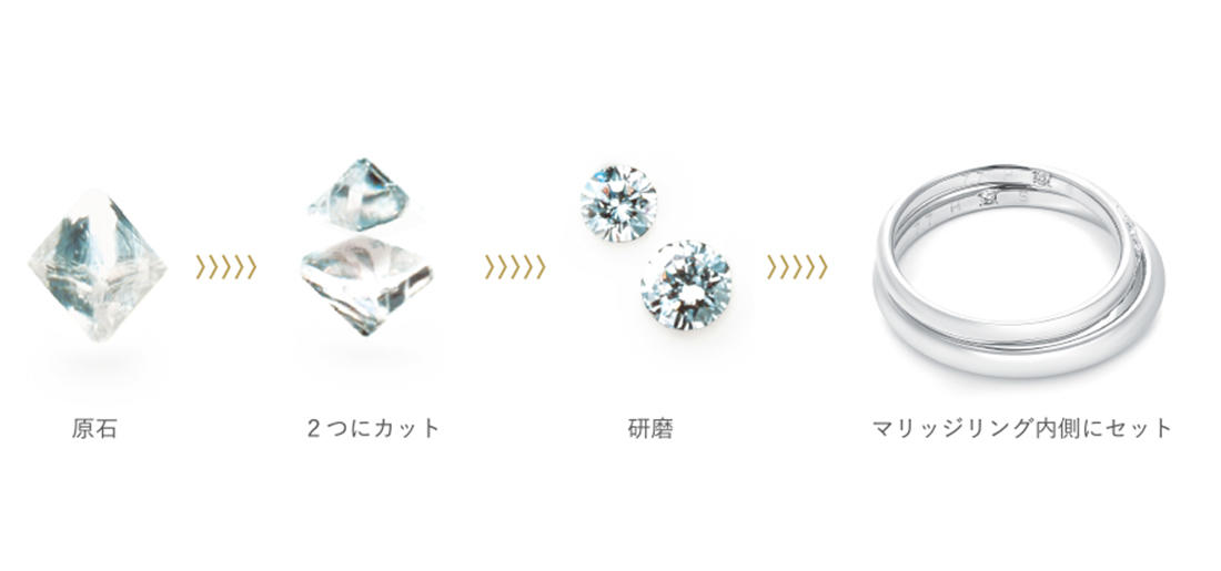 トピックス用.jpg