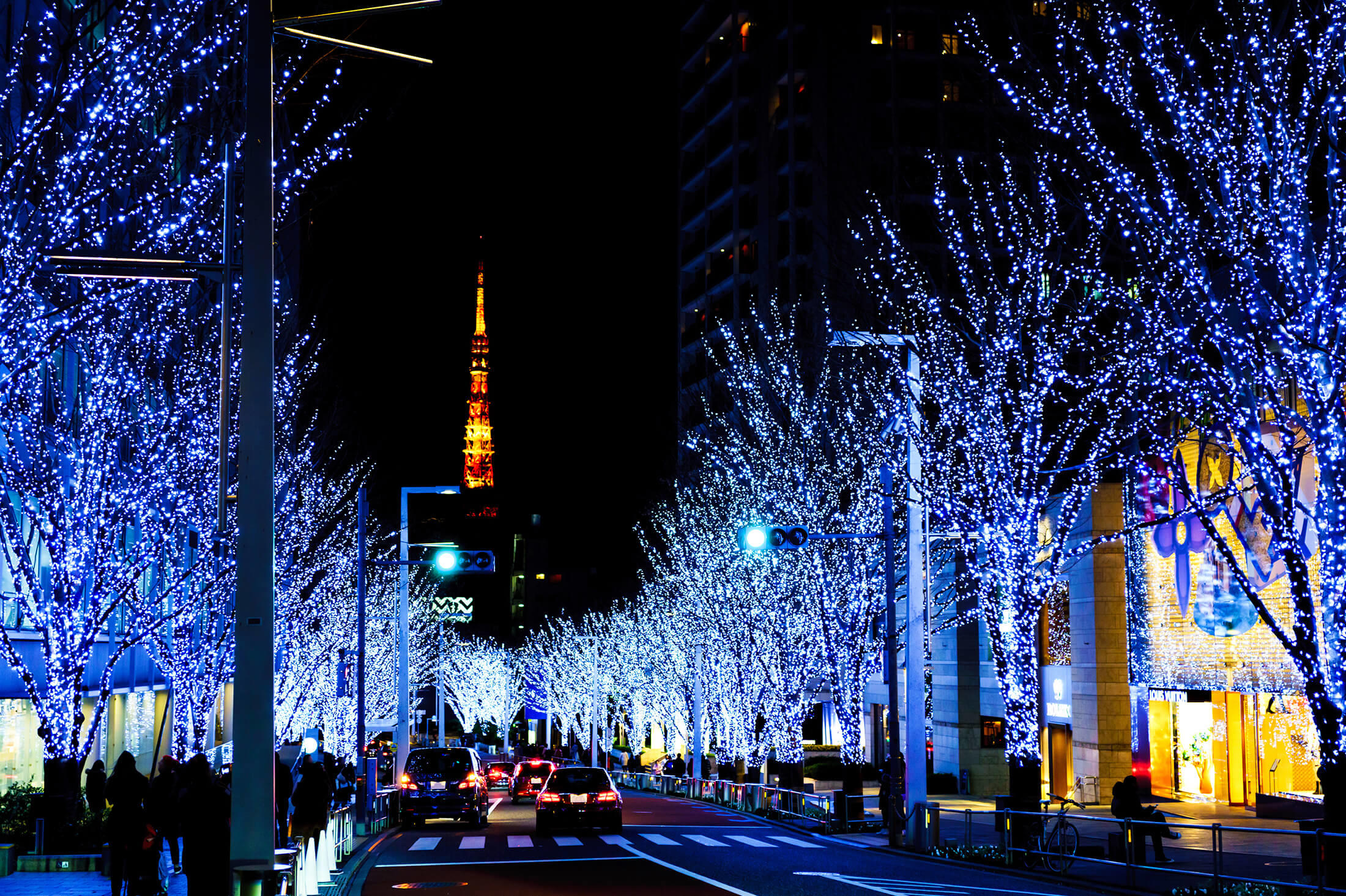 クリスマス イルミネーション